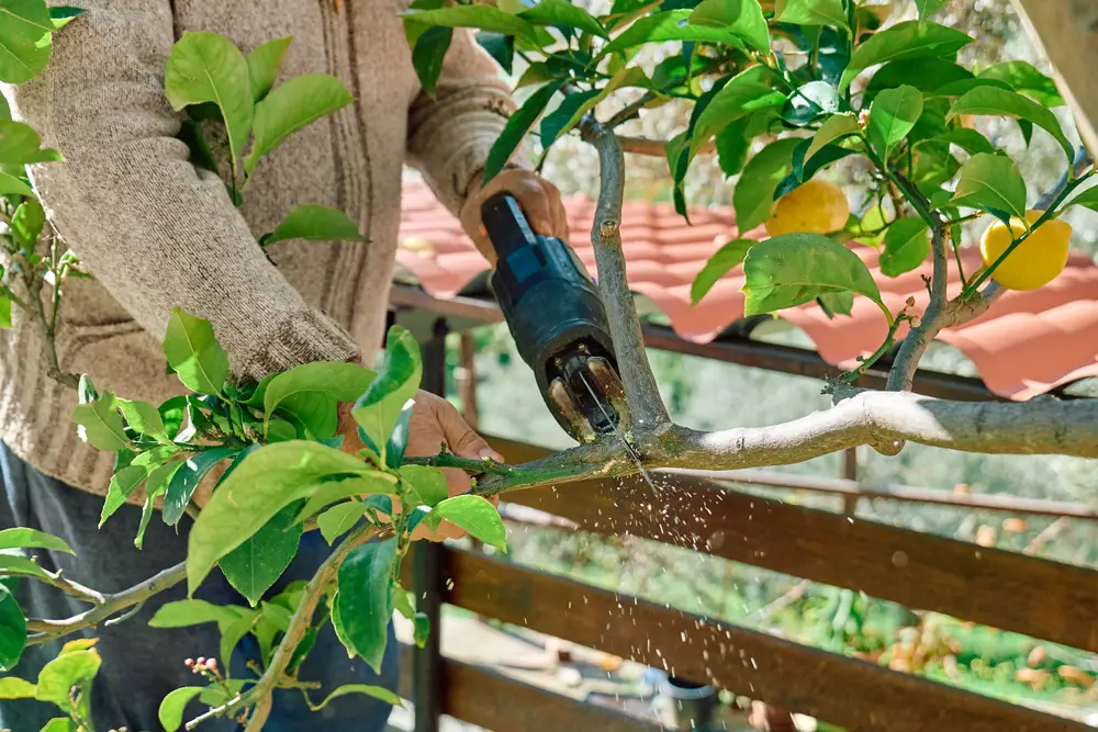 reciprocating saw wood