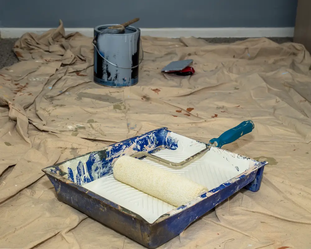 painters drop cloth