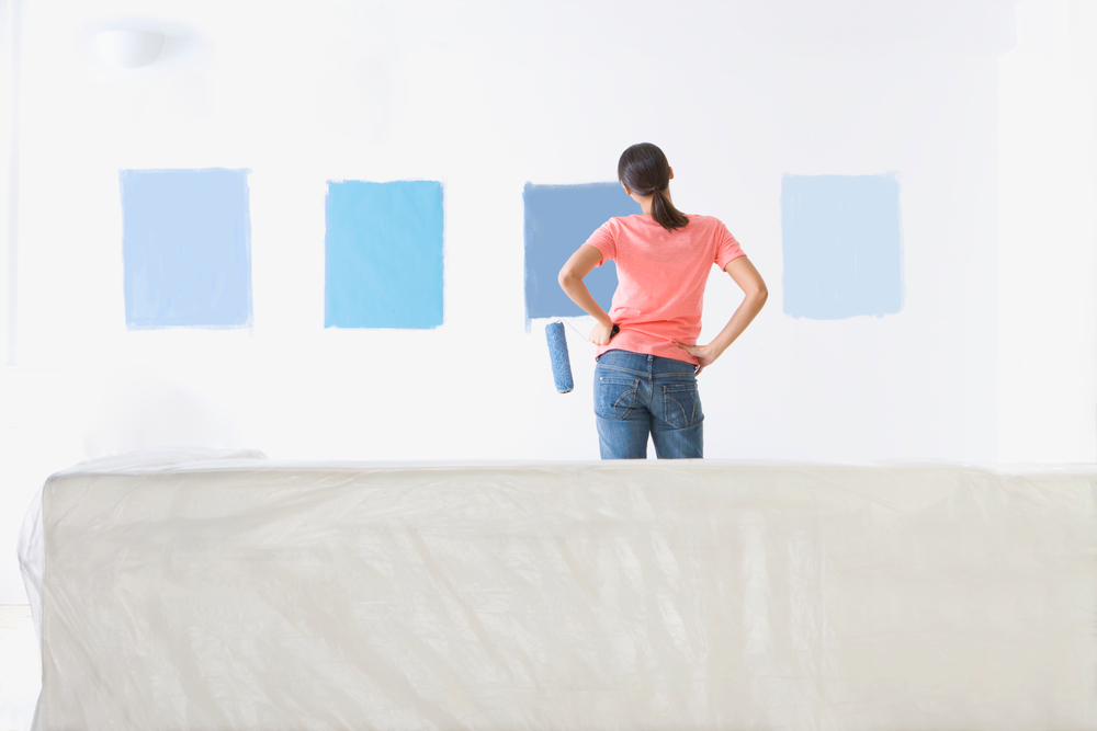 sample paints on wall